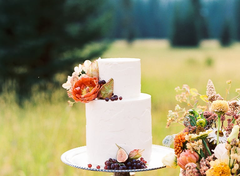 Minimalist white wedding cake for an outdoor elopement in Bozeman Montana