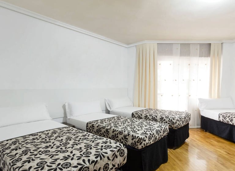 Alojamiento para 2, 3 o 4 personas con baño privado en Logroño centro