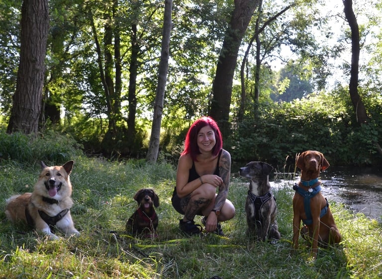 Dogz Erding Mobile Hundeschule