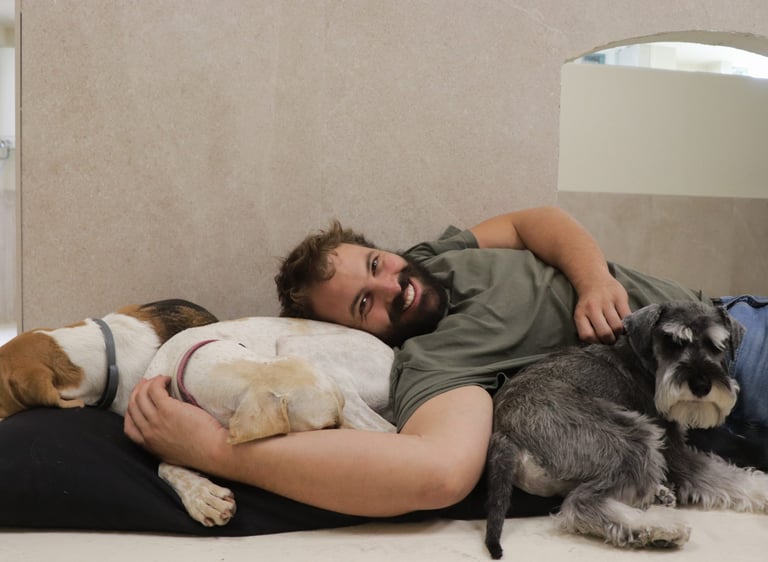 cuidador canino con perros descansando en una guardería canina