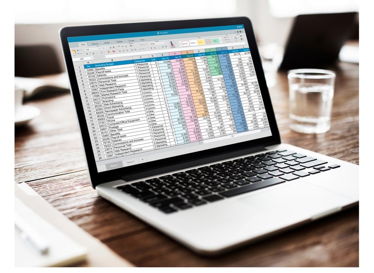 a laptop computer screen displaying a spreadsheet for bookkeeping