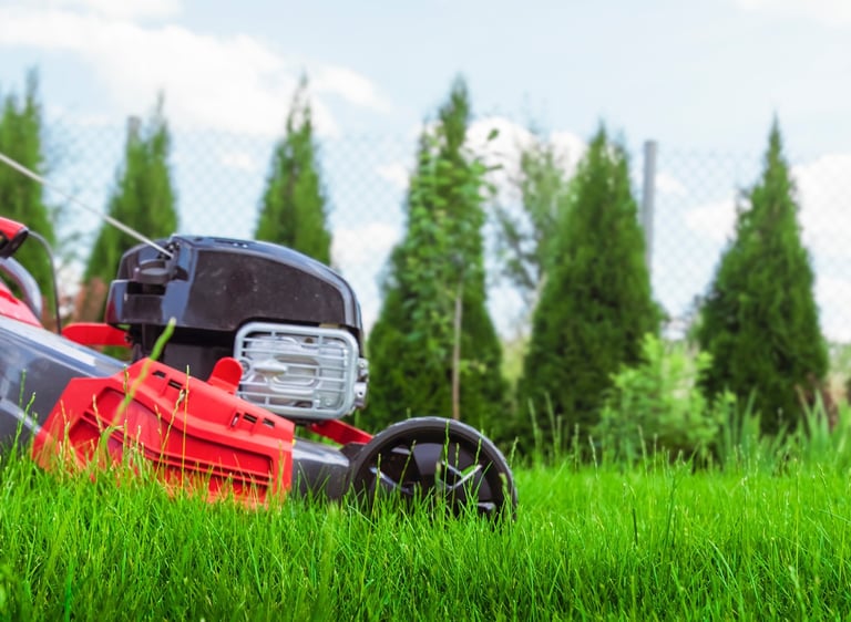 Prignitzer Gartenbewässerung - Rasenmäher