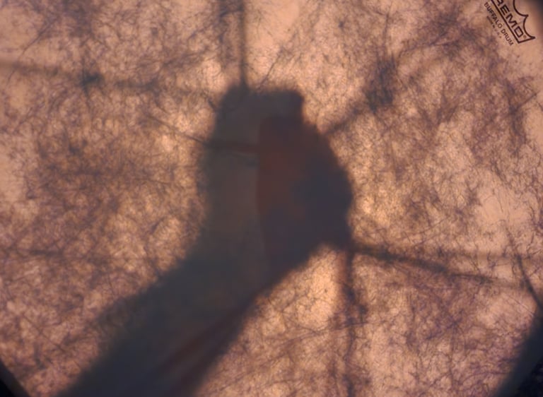 A textured Remo buffalo drum held by hand, showing backlit fibers and a silhouette of a hand gripping the frame.