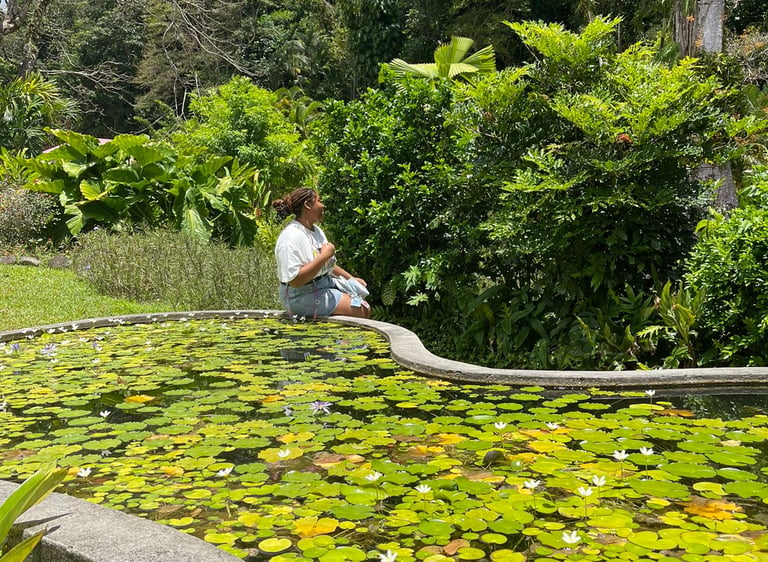 jardin valombreuse Loise Désir Loïse artiste guadeloupe