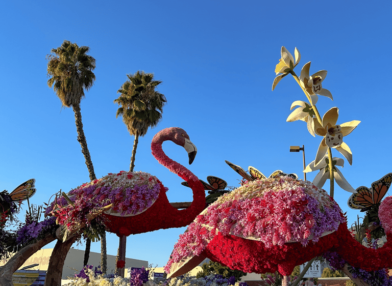 Floral parade float featuring pink flamingos and monarch butterflies under a clear blue sky.
