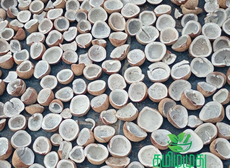 Solar dried copra for Tamilamuthu Pollachi coconut oil