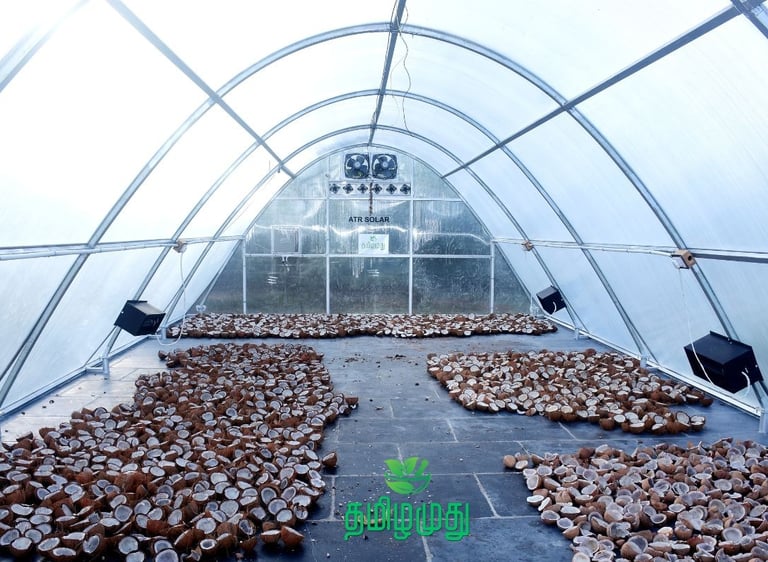 Solar dryer plant used to dry copra for Tamilamuthu Pollachi cold pressed coconut oil