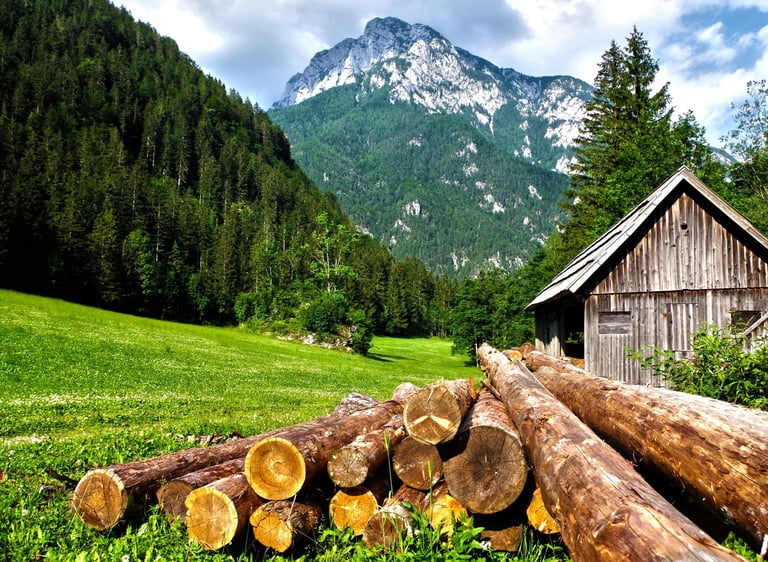 Ferienhaus in den Bergen