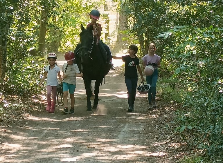ballade poney Landes et pins