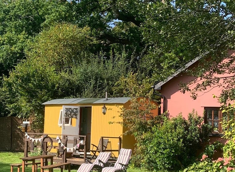 Yellow shepherd's hut glamping rental with a wooden picnic table and lounge chairs in a lush green garden.