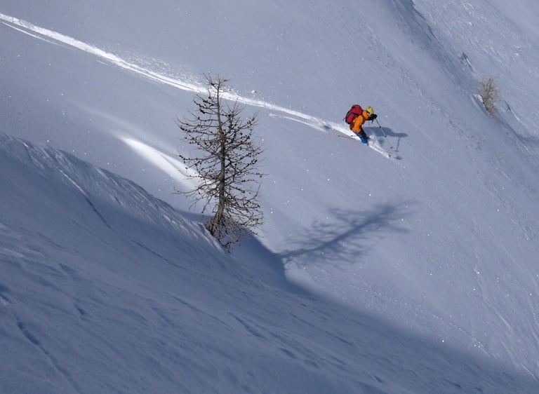 skieur de randonnée à la descente