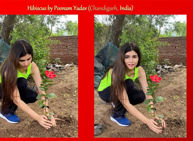 Mrs India planted a tree to connect people with nature positively to join the movement for sustainability