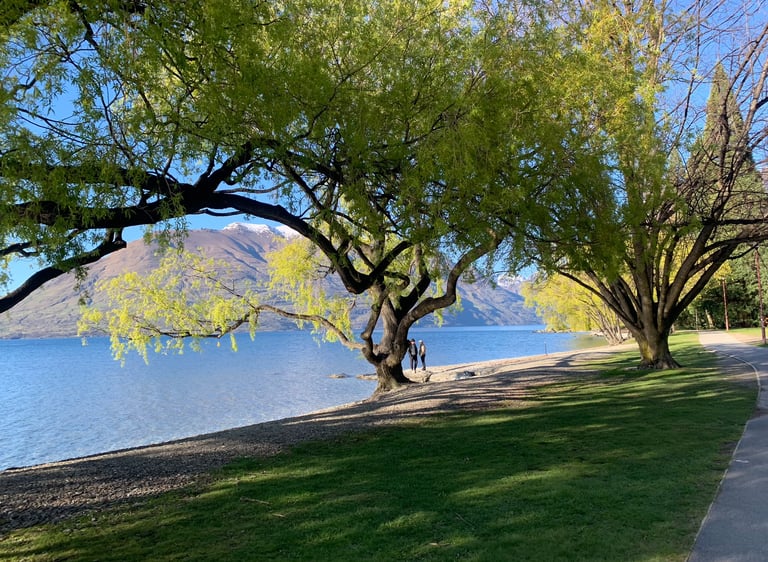Queenstown Lake Scenic View