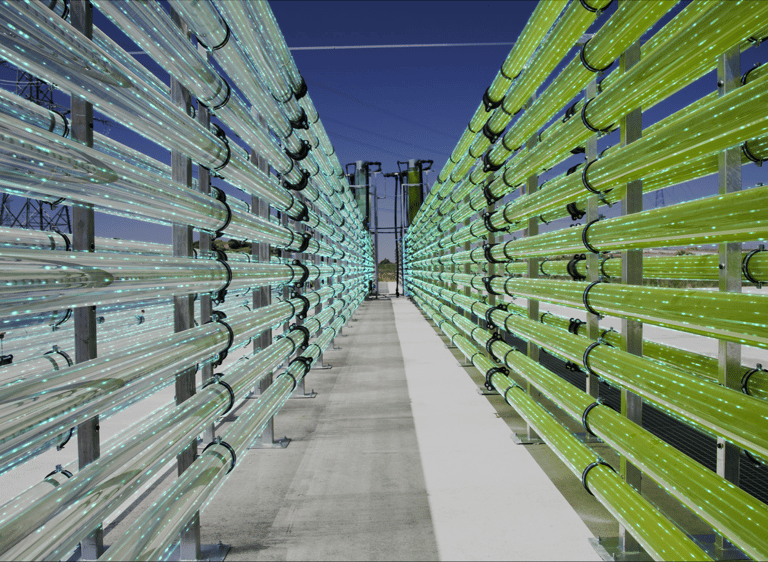 a long row of green benches with a blue sky in the background