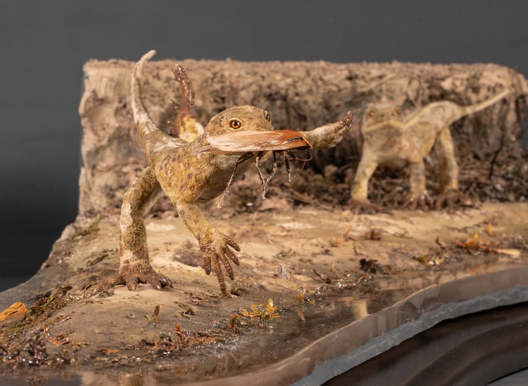 Paleontological reconstruction of two eudibamus models made by Sebastian Brandt (Reco-brandt)