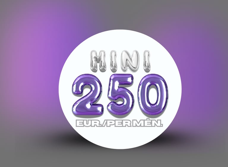 Socialinių tinklų paslaugų planai – MINI planas.
