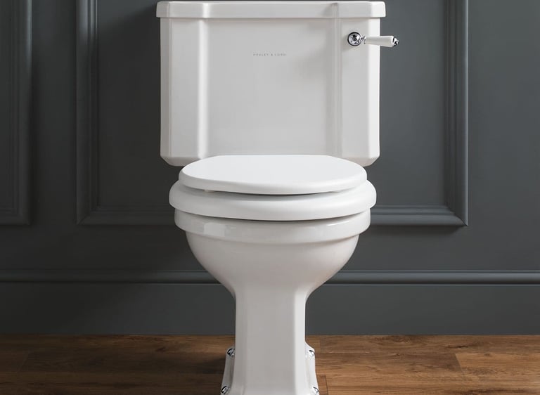 Toilet repair in Umberleigh