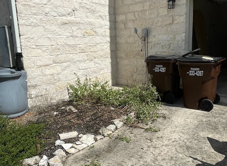 Wooden Pallets After Razorbill Junk Removal In 1604