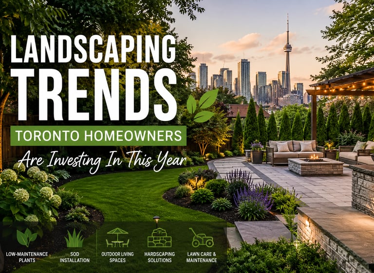 landscaping trends of backyard in toronto