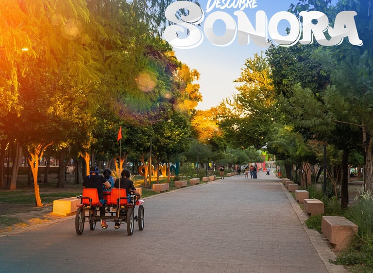 Relax by visiting Hermosillo's historic parks.