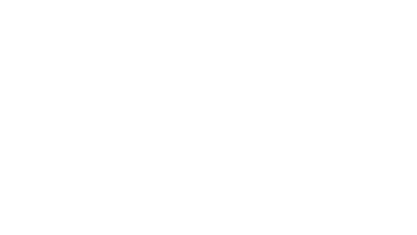 SIS Logo -Qi Team