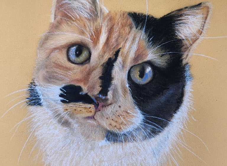 a cat with a mustache on it's face