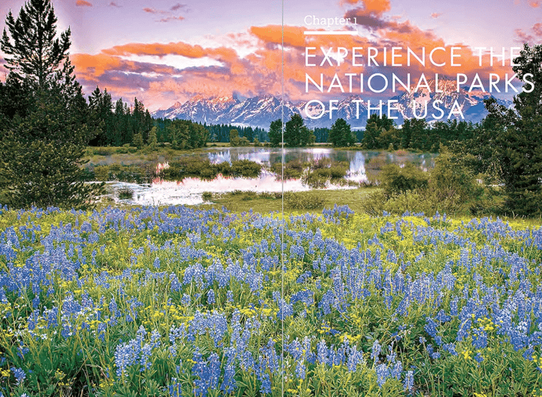 Wildflowers with a Grand Tetons background by a water backdrop