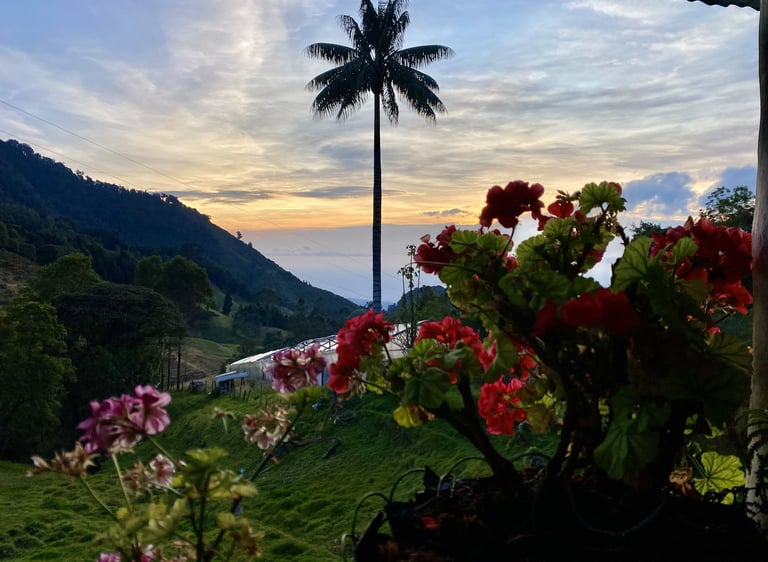 Diagnóstico territorial en finca rural de Anzoátegui