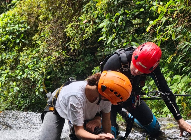 Acompañamiento turístico mensual para fincas rurales