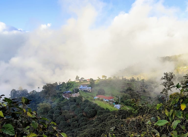 Comunidad campesina de Anzoátegui en territorio de montaña