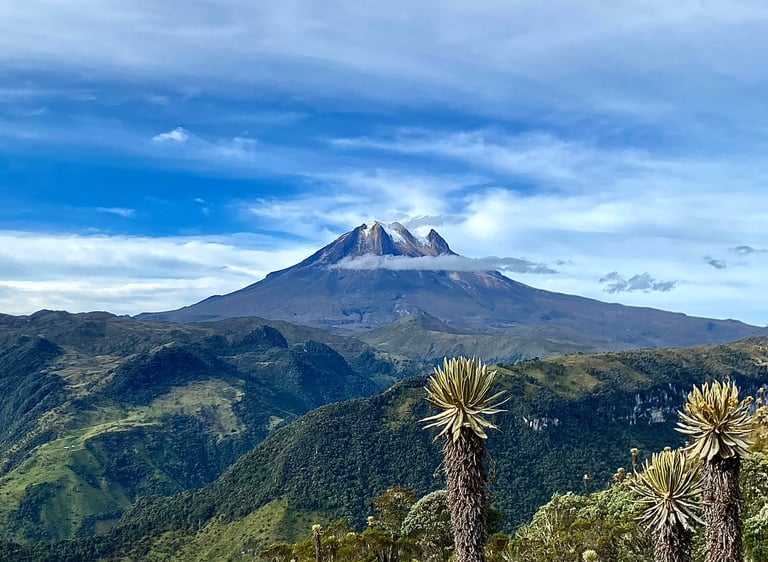 Caminata en altura con vista al Nevado del Tolima desde el paramo de Anzoátegui