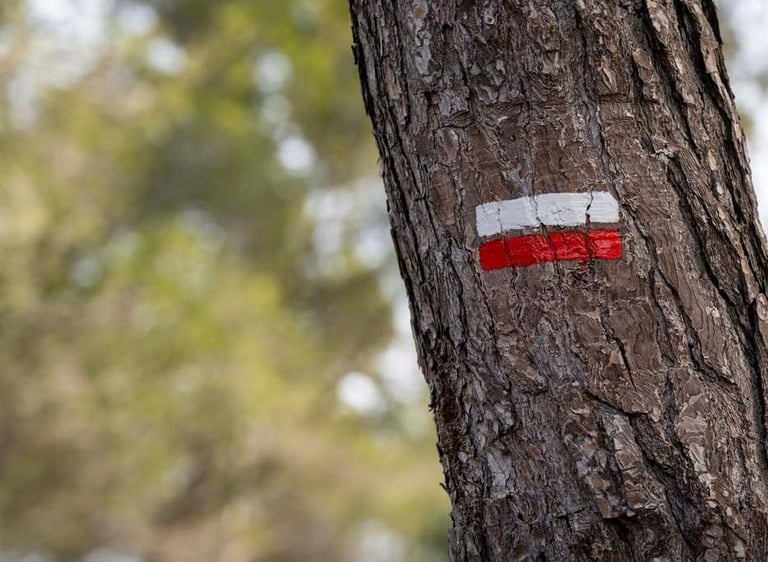 Señalización GR rojo y blanco en sendero de montaña