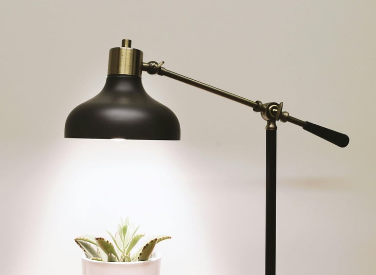 A Lamp shining on a plant 