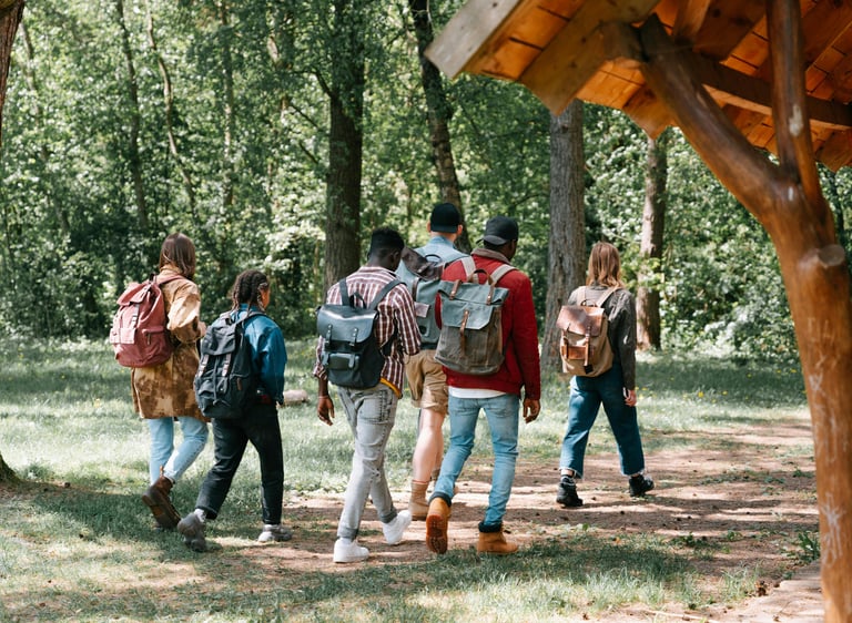 a group of people walking through a forest
