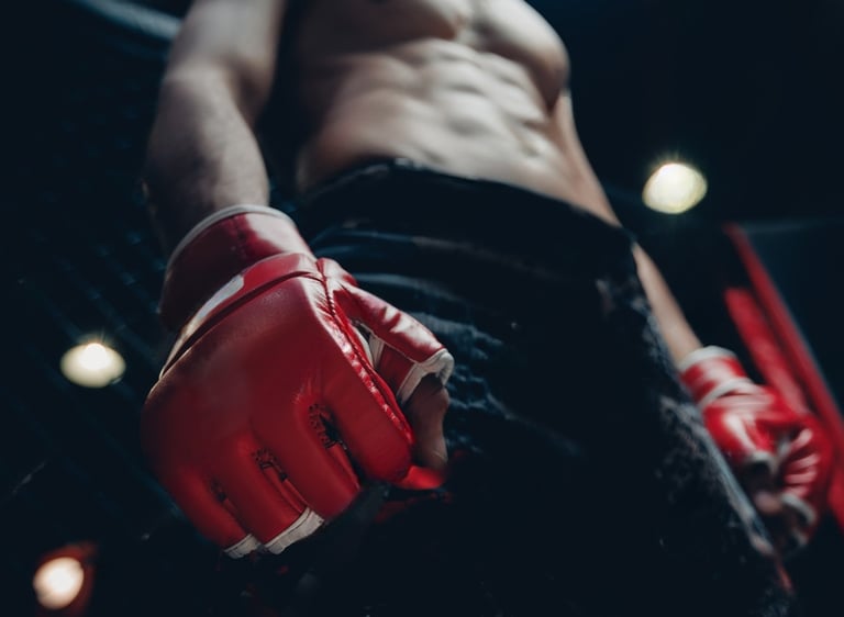 MMA (Mixed Martial Arts) classes