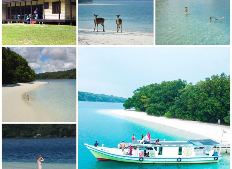 Ujung Kulon Tour 3d2n