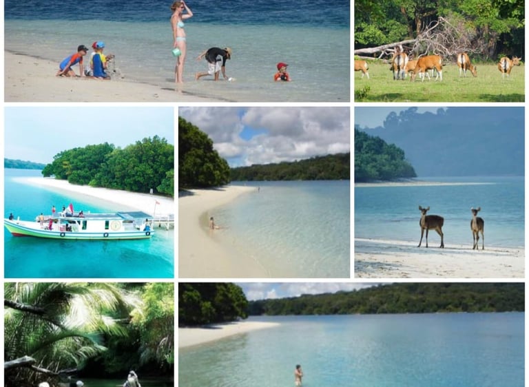 Ujung KUlon Tour 2d1n trip