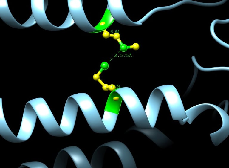 Análisis in silico de proteína predicha por AlphaFold por Dr. Pablo A. Méndez Médico Genetista