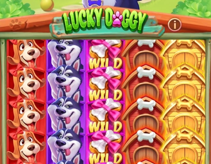 Ck 999 new game download 