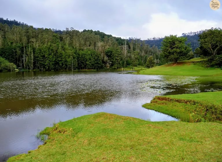 Calm waters of Poondi Lake surrounded by lush greenery in Kodaikanal.
