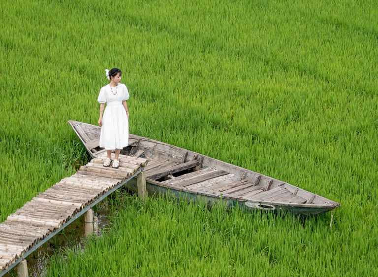 photo of a girl in white dress in a rice paddy field vietnam