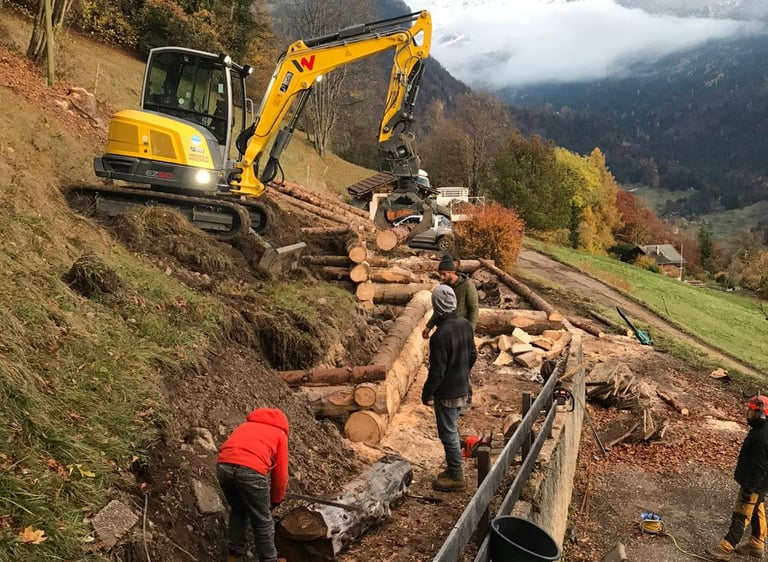 travaux exterieur, bois, tractopele
