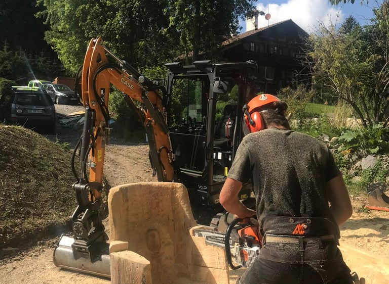 tronçonneuse et coupe de bois