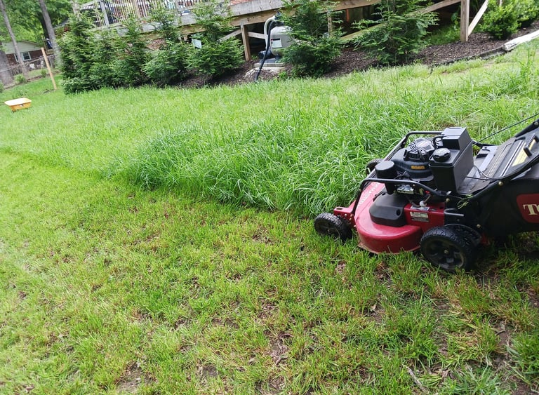 TLC Upstate Lawn Mowing