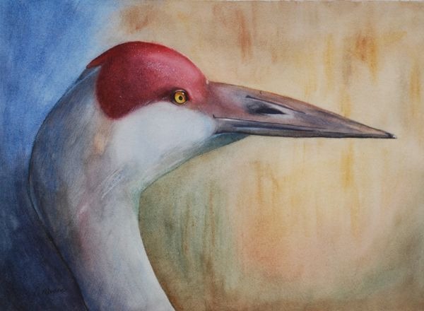 Watercolor - Wildlife WC200915