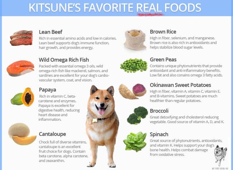 Shiba Inu Nutrition: A Complete Guide to Feeding Your Shiba Inu