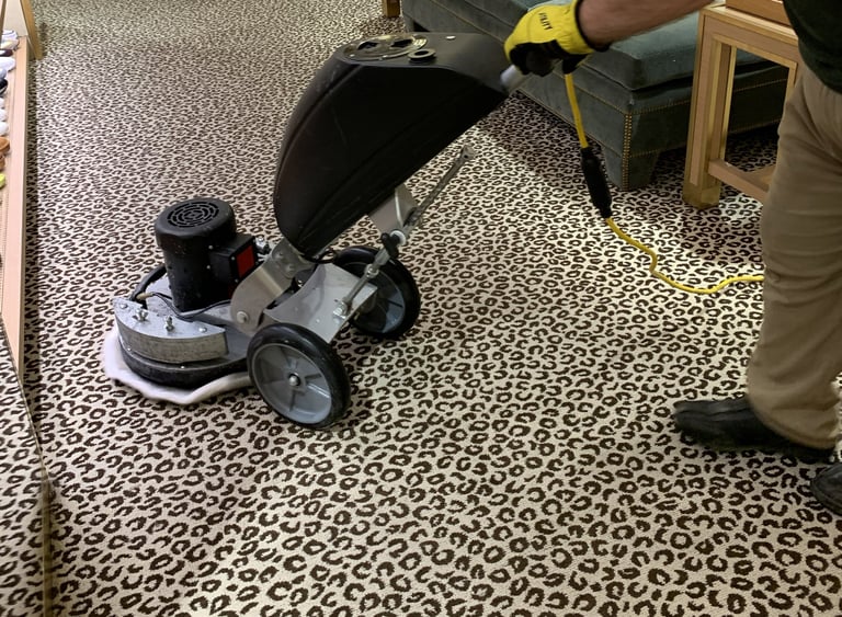 carpet cleaning deep cleaning 