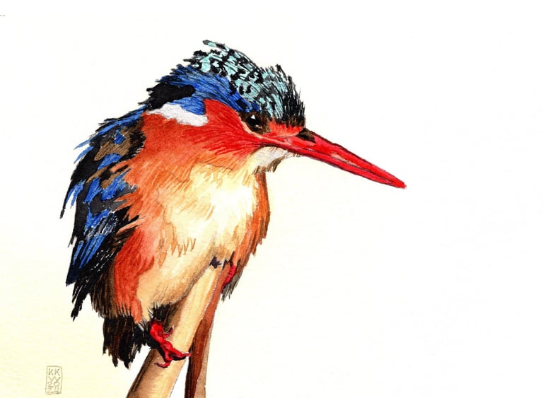 24-03 King Fisher