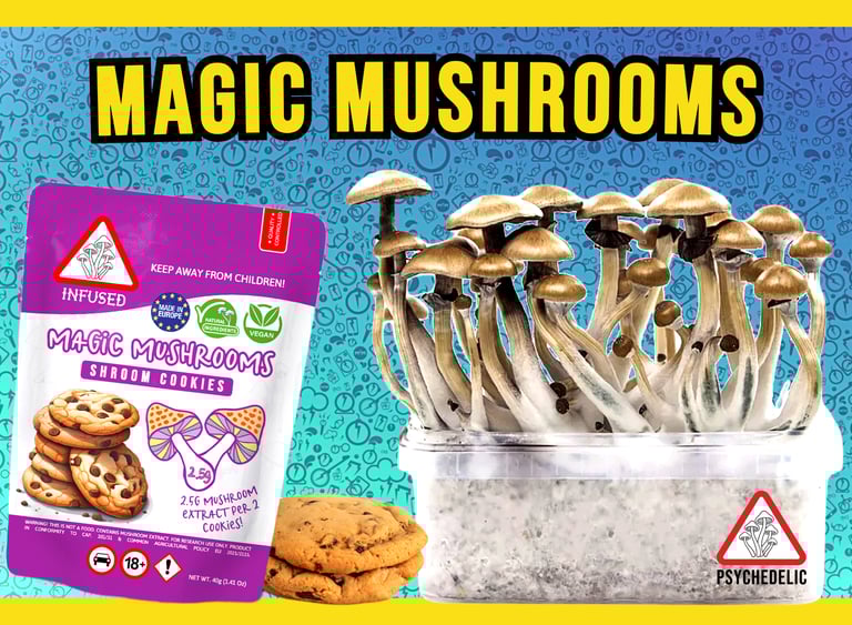 Magic Mushrooms Malta