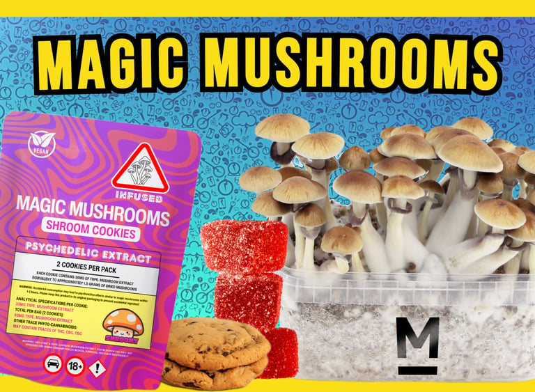 A package of magic mushroom cookies next to fresh psilocybin mushrooms and red gummy edibles.